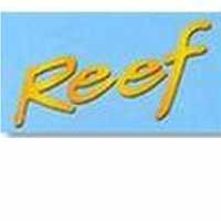 reef